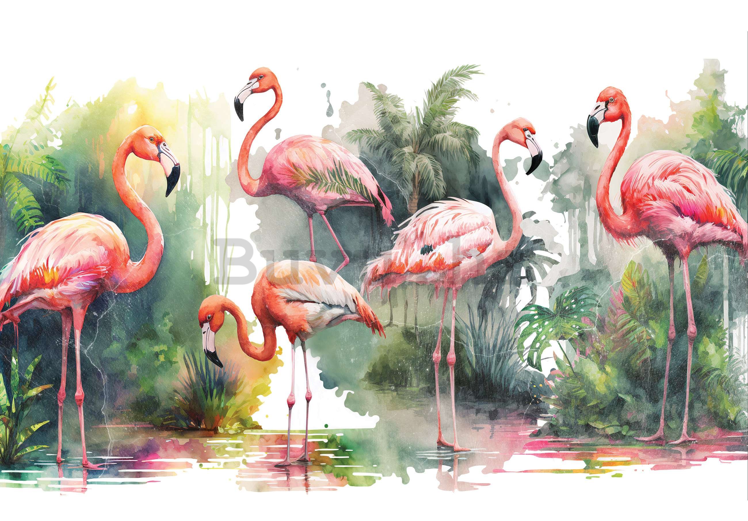 Vlies foto tapeta: Flamingosi u prirodi - 368x254 cm