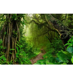 Vlies foto tapeta: Put u šumi - 368x254 cm