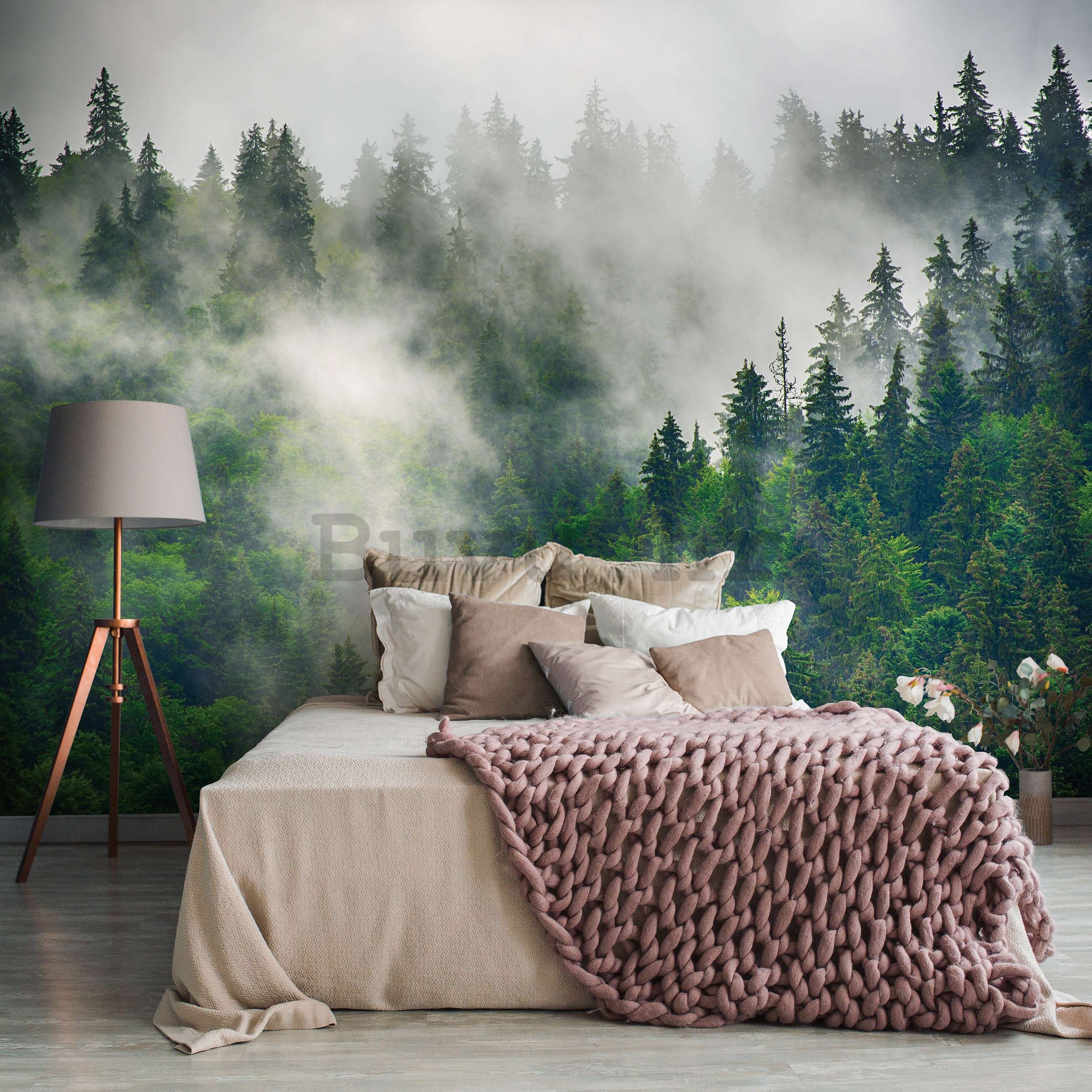 Vlies foto tapeta: Magla nad šumom (5) - 368x254 cm