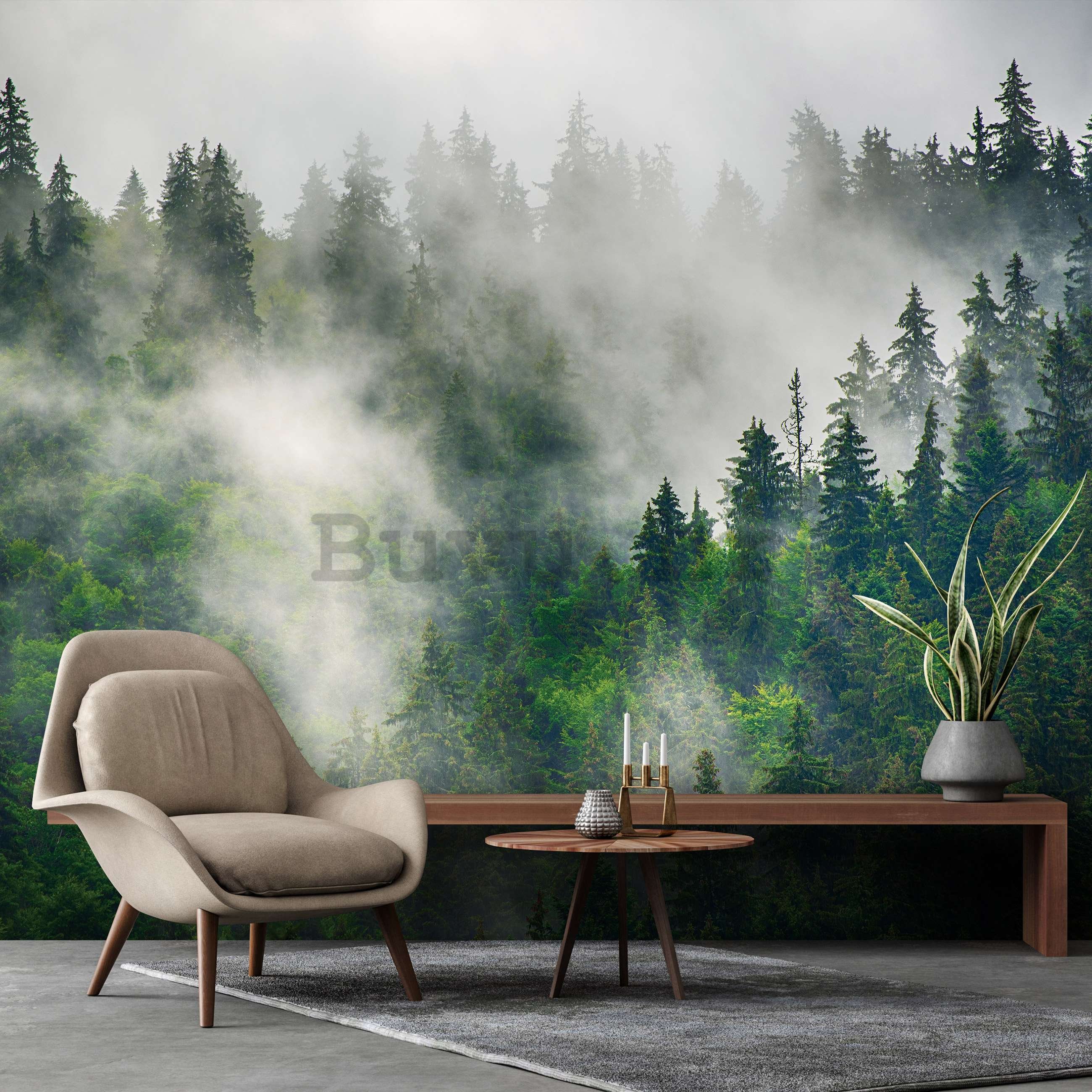 Vlies foto tapeta: Magla nad šumom (5) - 416x254 cm