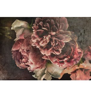Vlies foto tapeta: Cvjetovi božura - 254x184 cm