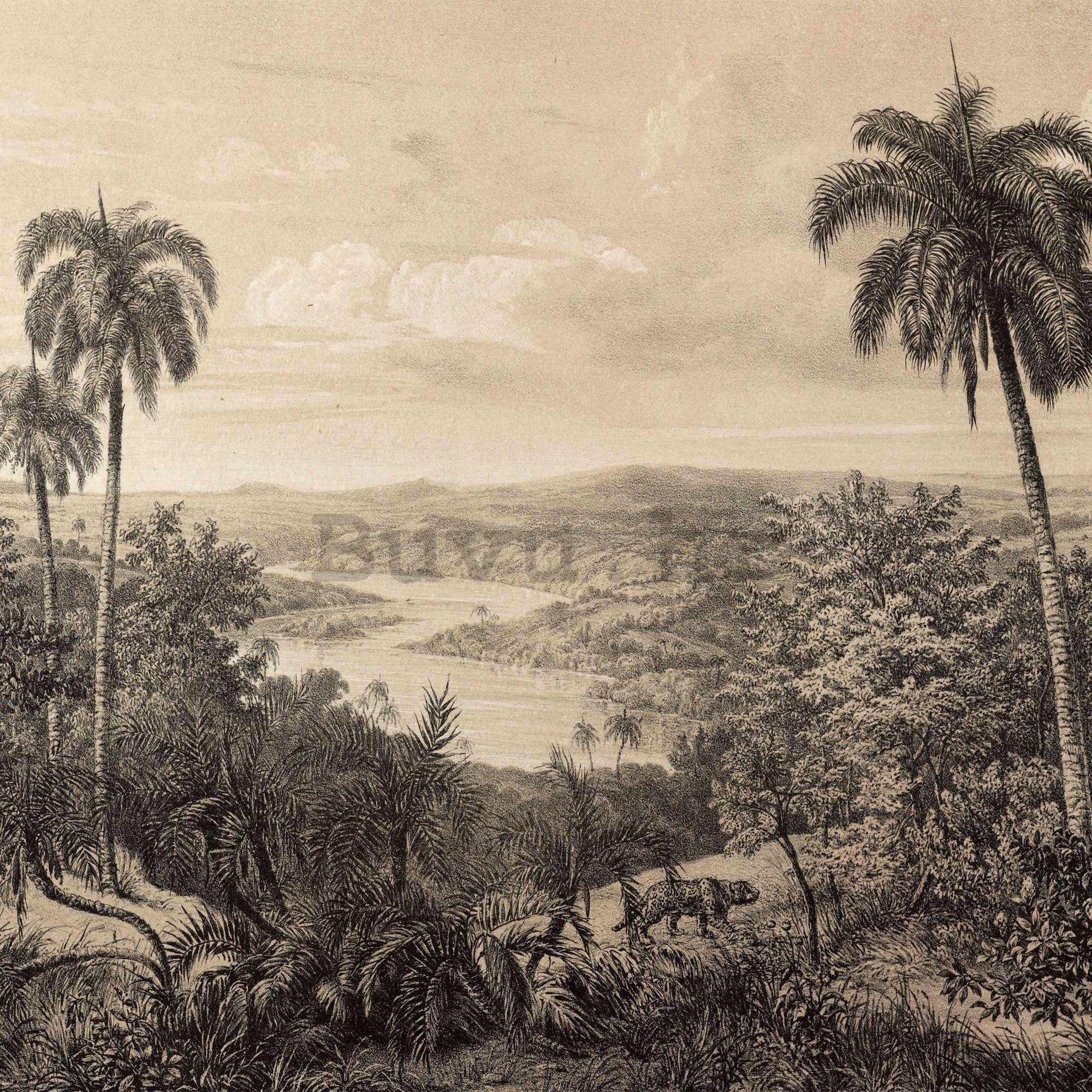 Vlies foto tapeta: Rijeka Amazon, litografija - 254x184 cm