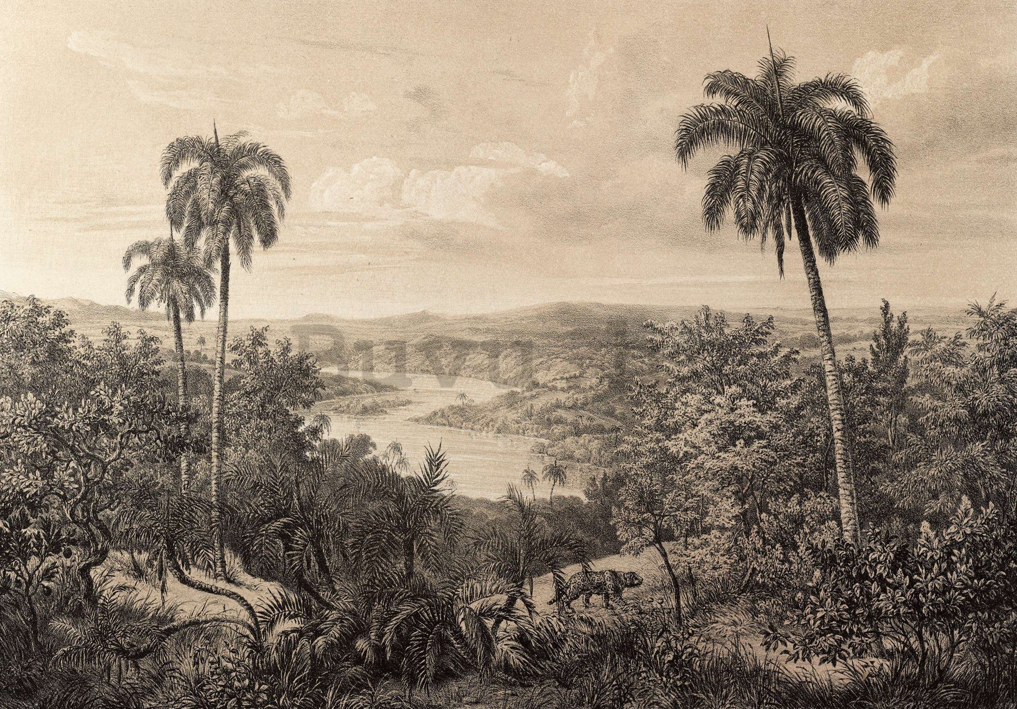 Vlies foto tapeta: Rijeka Amazon, litografija - 254x184 cm