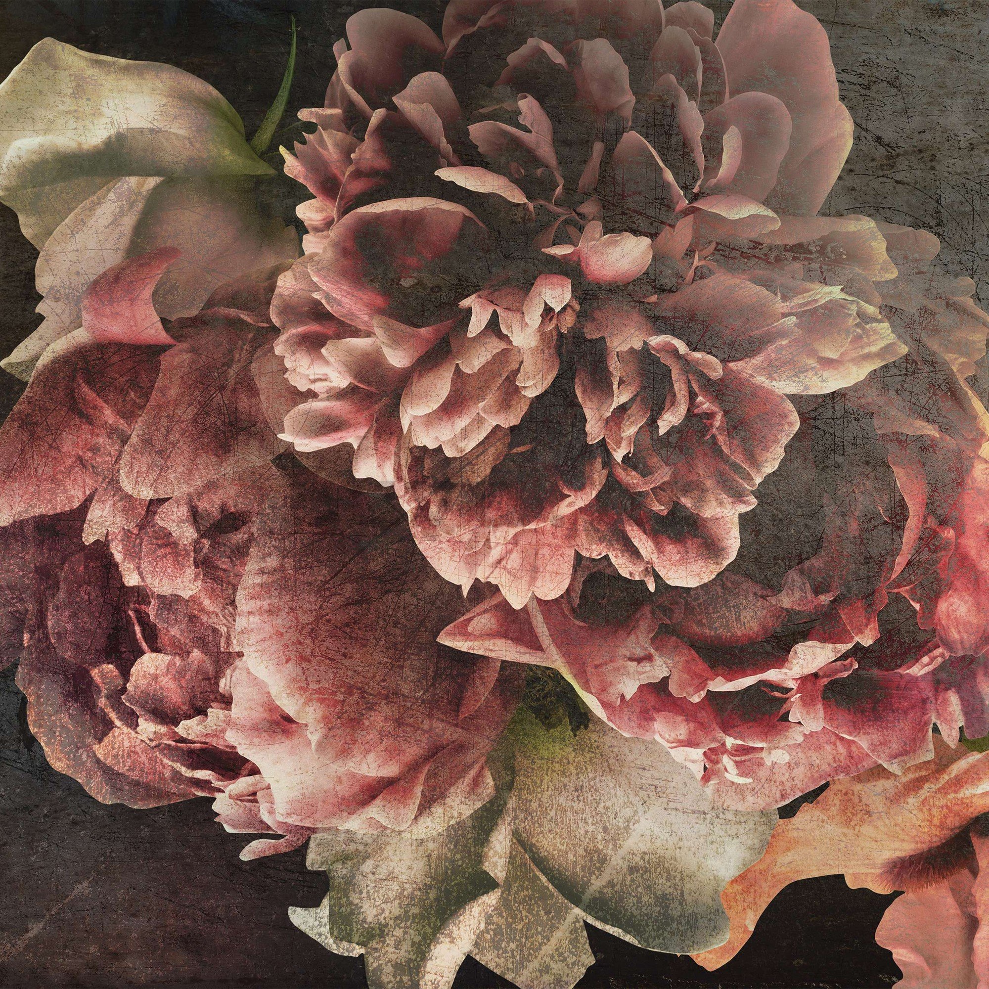 Vlies foto tapeta: Cvjetovi božura - 368x254 cm