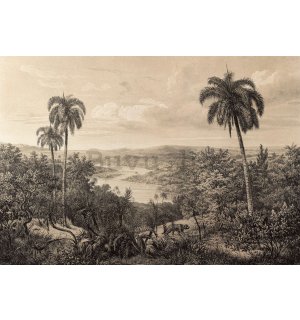 Vlies foto tapeta: Rijeka Amazon, litografija - 368x254 cm