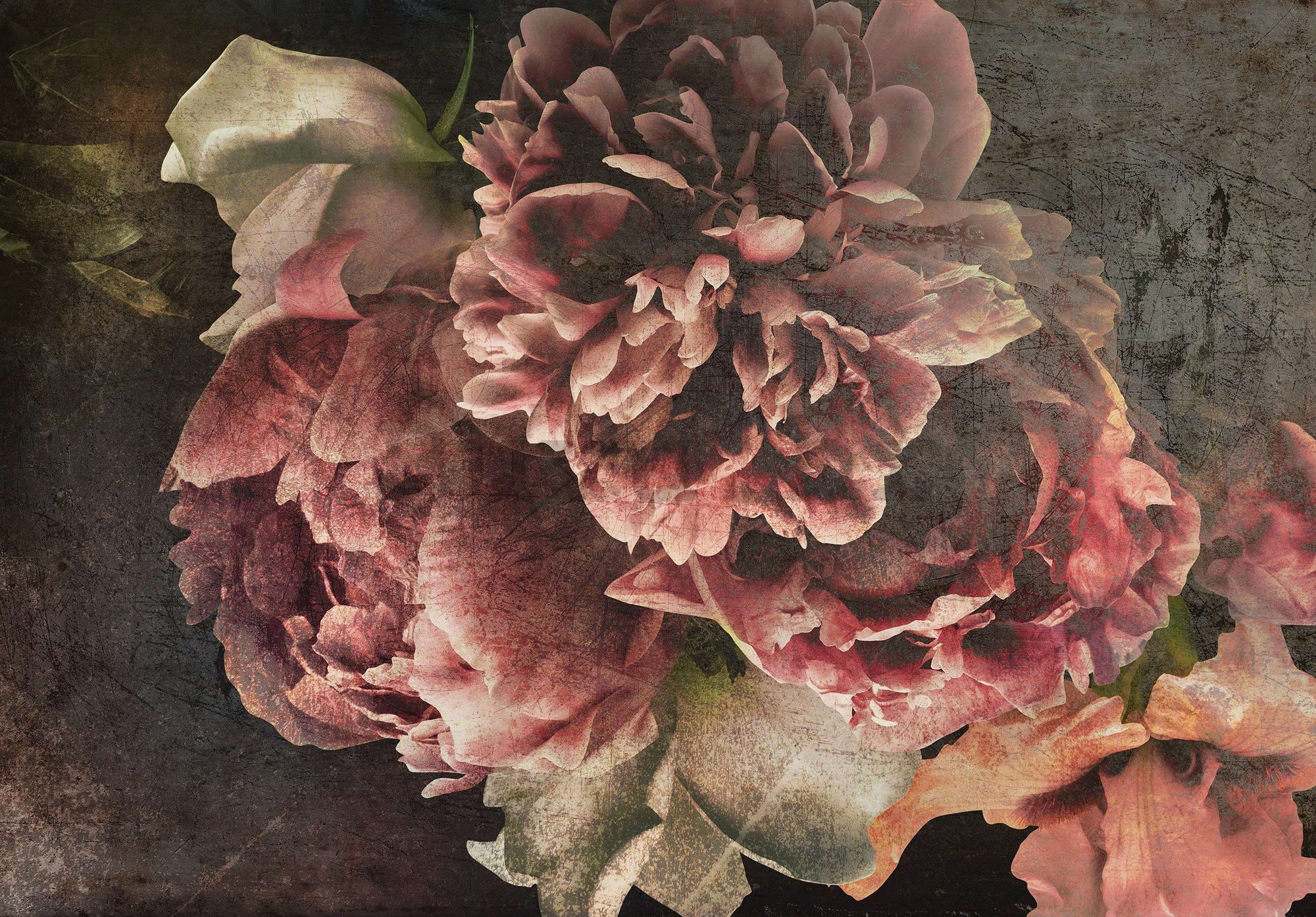 Vlies foto tapeta: Cvjetovi božura - 416x254 cm
