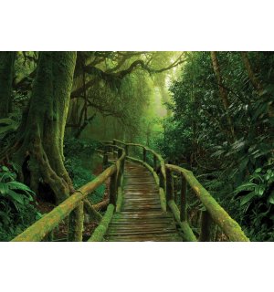 Vlies foto tapeta: Pješački most u džungli - 416x254 cm