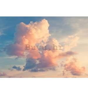 Vlies foto tapeta: Nebo u rumenilu - 416x254 cm