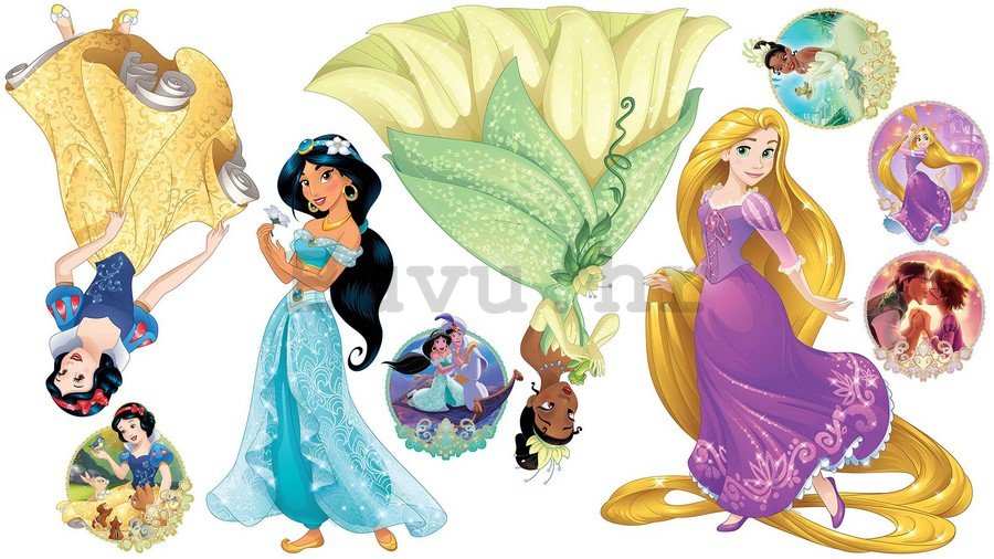 Naljepnica - Princeze (Jasmine and Rapunzel)