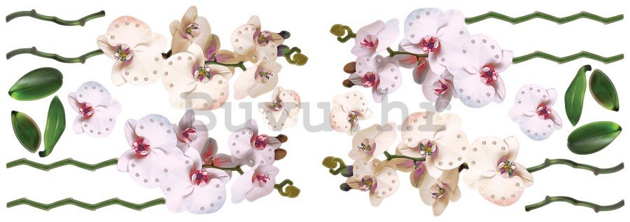 Naljepnica - Orhideje (2)