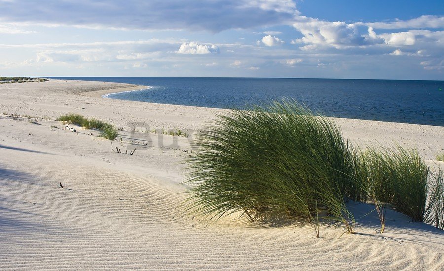 Foto tapeta Vlies: Pješčana plaža (1) - 254x368 cm