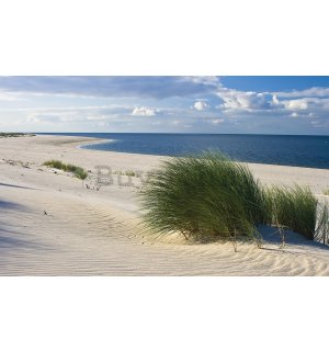 Foto tapeta Vlies: Pješčana plaža (1) - 254x368 cm