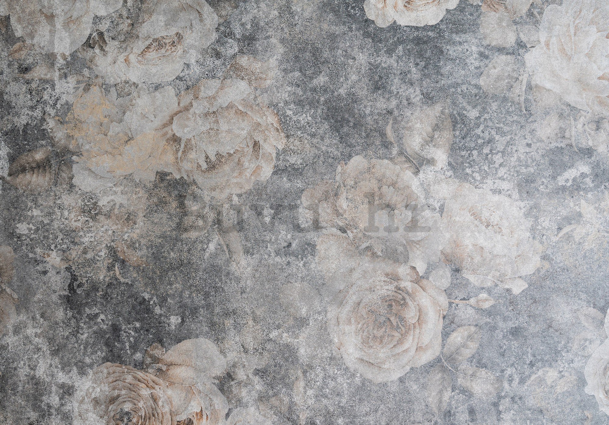 Foto tapeta Vlies: Imitation structure flowers concrete - 254x184 cm