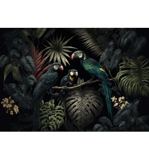 Vlies foto tapeta: Nature jungle parrots leaves - 416x290 cm