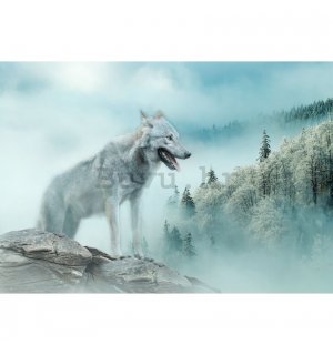 Foto tapeta Vlies: Nature forest wolf snow - 254x184 cm