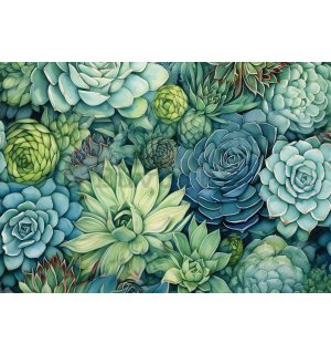 Foto tapeta Vlies: Succulents - 254x184 cm