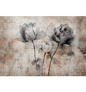 Foto tapeta Vlies: Flowers Roses Structure (1) - 254x184 cm