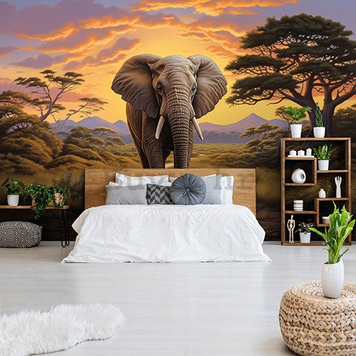 Foto tapeta Vlies: Animals Elephant Safari - 254x184 cm