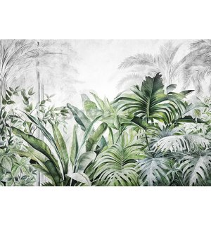 Foto tapeta Vlies: Nature Leaves Exotic Jungle (1) - 254x184 cm