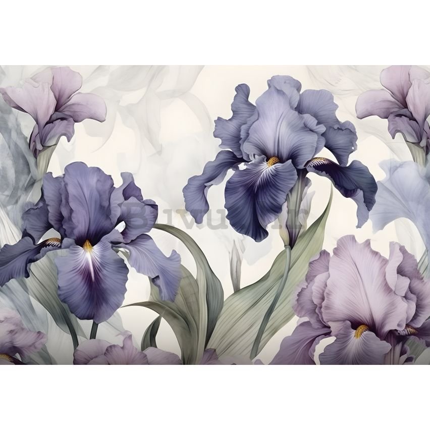 Vlies foto tapeta: Nature Flowers Modern Romantic Iris - 368x254 cm
