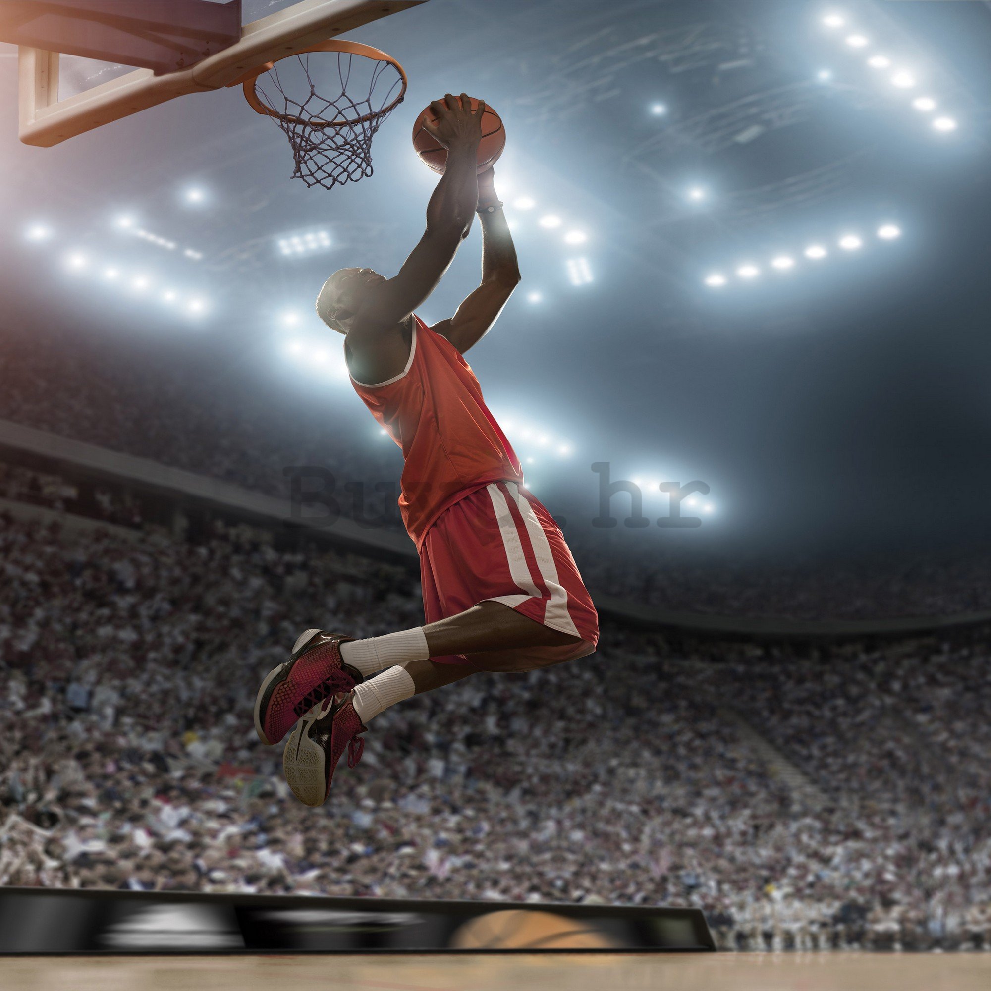 Vlies foto tapeta: Basketball player - 368x254 cm