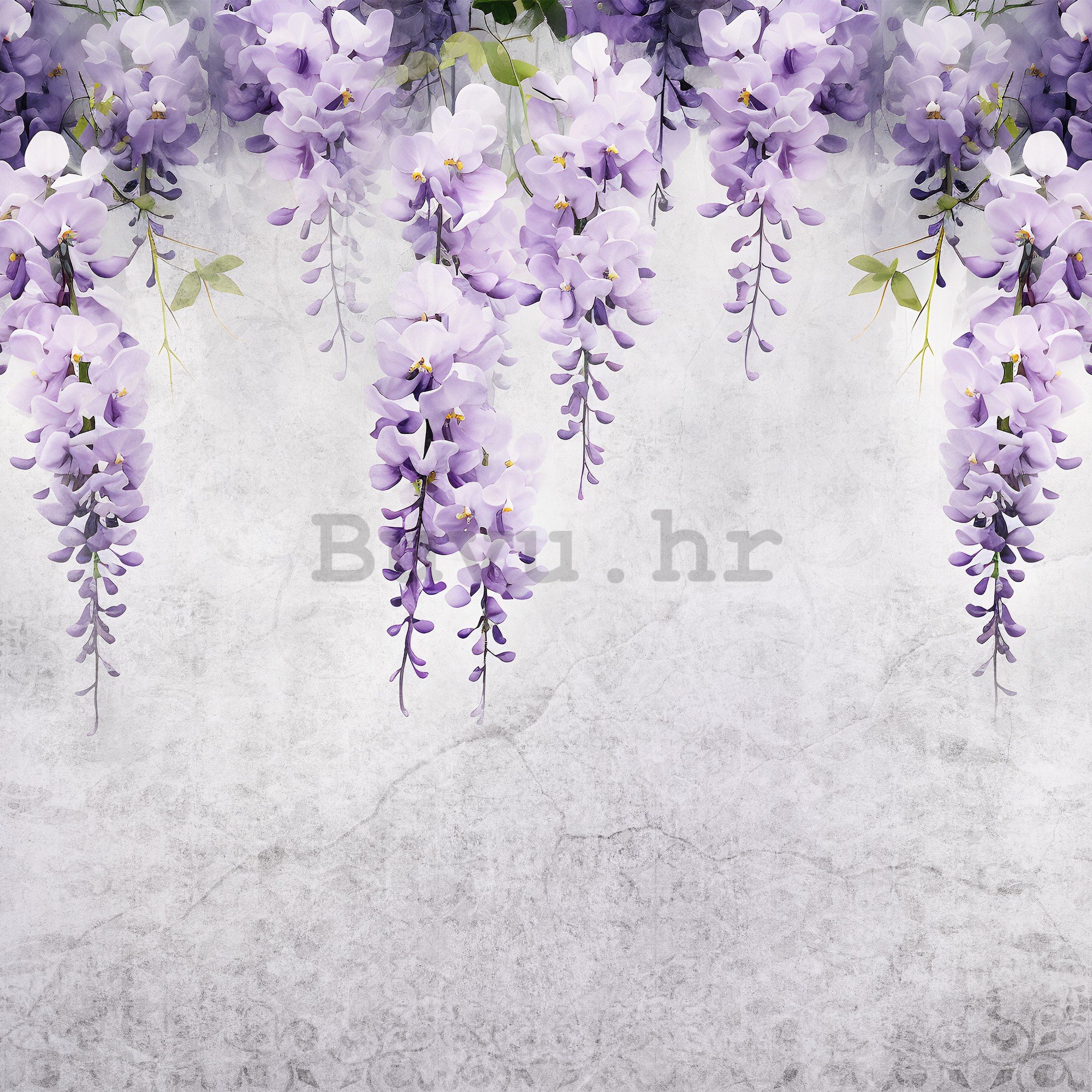 Vlies foto tapeta: Flowers Violet Wisteria Romantic (1) - 368x254 cm