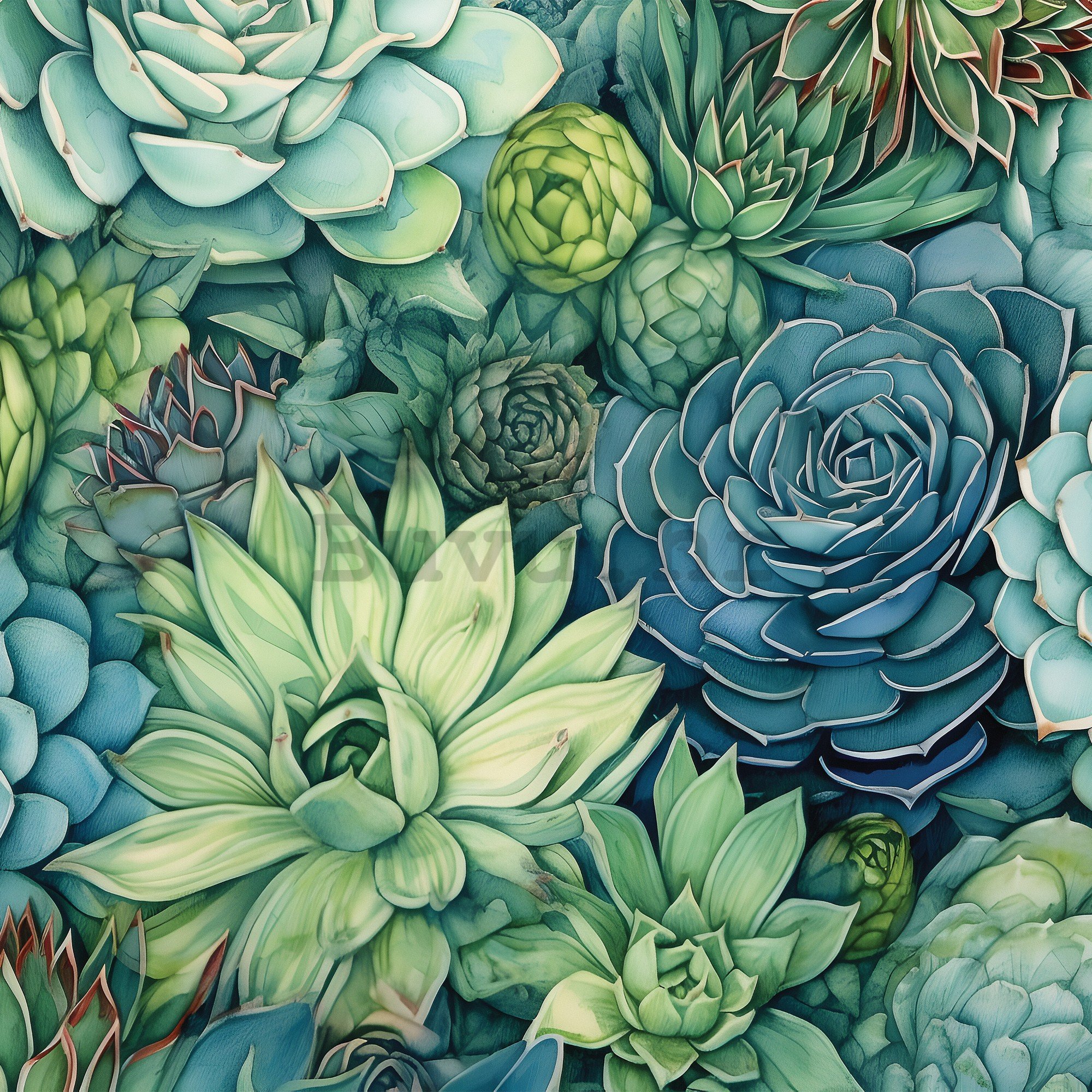 Vlies foto tapeta: Succulents - 368x254 cm