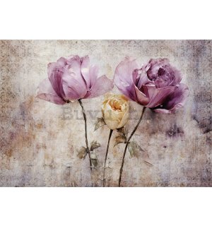 Vlies foto tapeta: Flowers Roses Structure - 368x254 cm