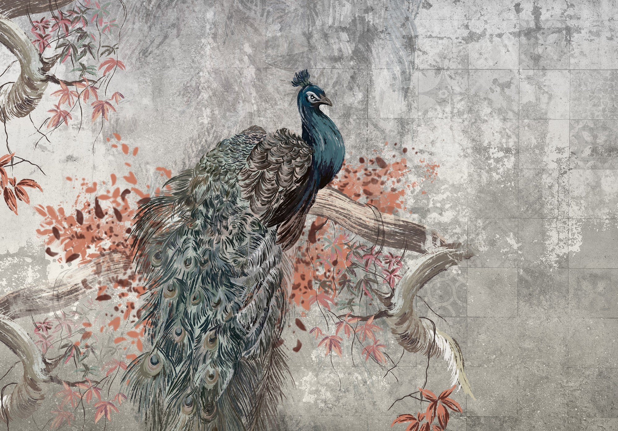 Vlies foto tapeta: Peacock - 368x254 cm