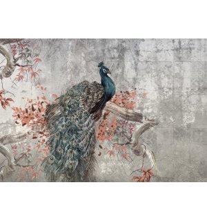 Vlies foto tapeta: Peacock - 368x254 cm
