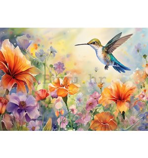 Vlies foto tapeta: Hummingbird - 368x254 cm