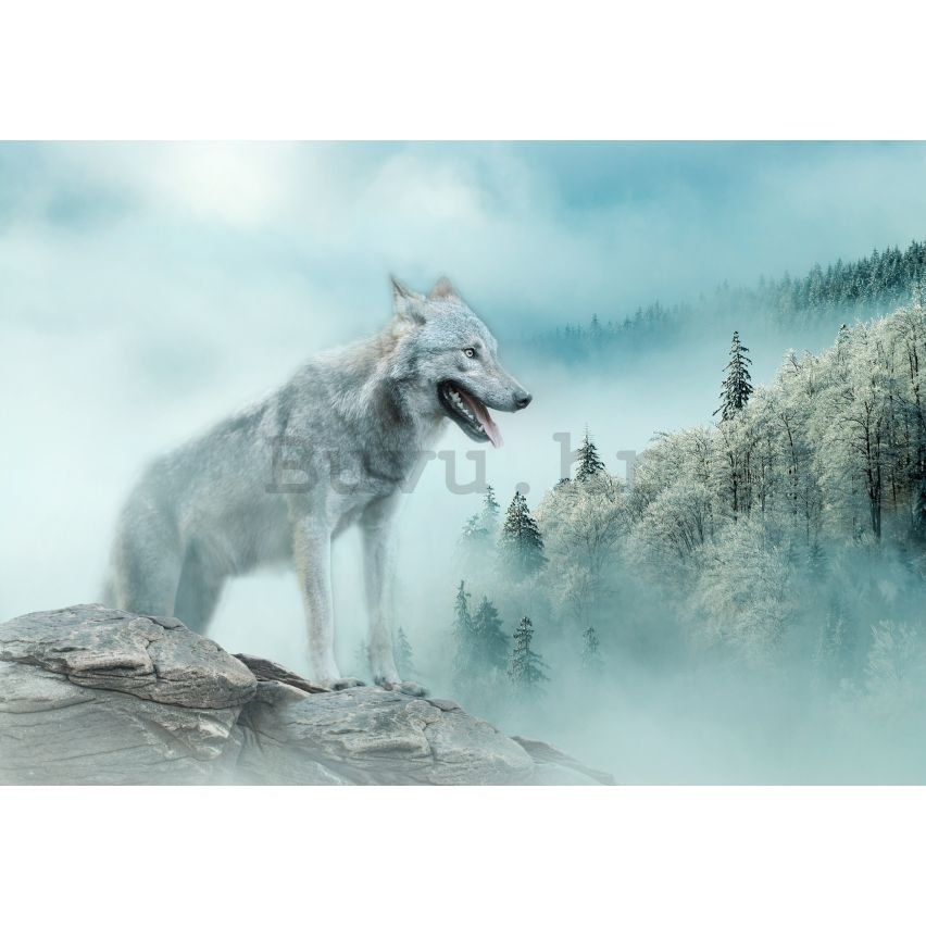 Vlies foto tapeta: Nature forest wolf snow - 152,5x104 cm
