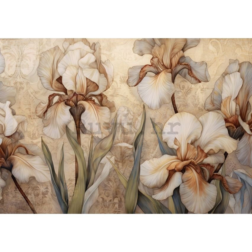 Vlies foto tapeta: Nature Flowers Modern Iris - 152,5x104 cm
