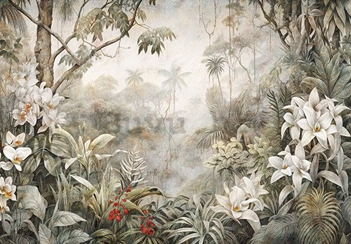 Vlies foto tapeta: Nature Leaves Exotic Jungle - 152,5x104 cm