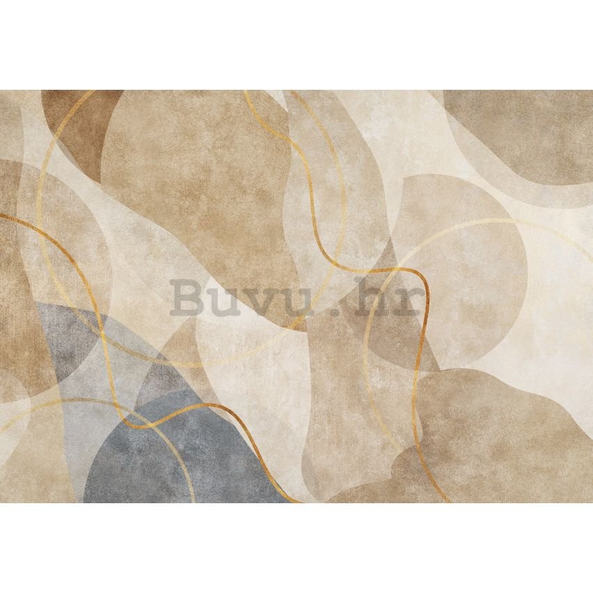 Vlies foto tapeta: Art abstraction boho gold - 312x219cm