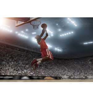 Vlies foto tapeta: Basketball player - 312x219cm