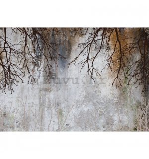 Vlies foto tapeta: Imitation concrete trees modern - 416x254 cm