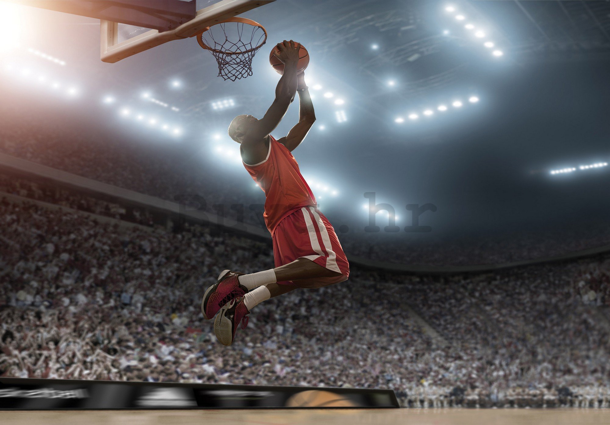 Vlies foto tapeta: Basketball player - 416x254 cm