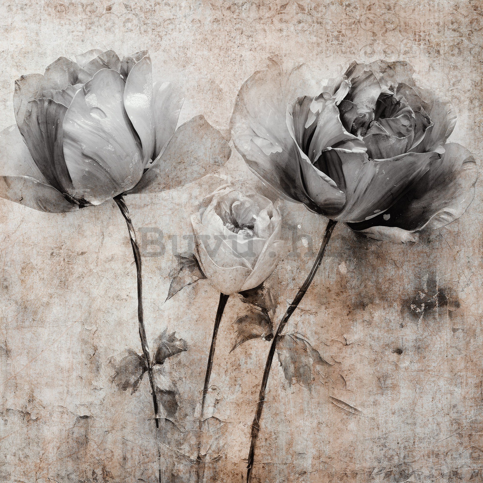 Vlies foto tapeta: Flowers Roses Structure (1) - 416x254 cm