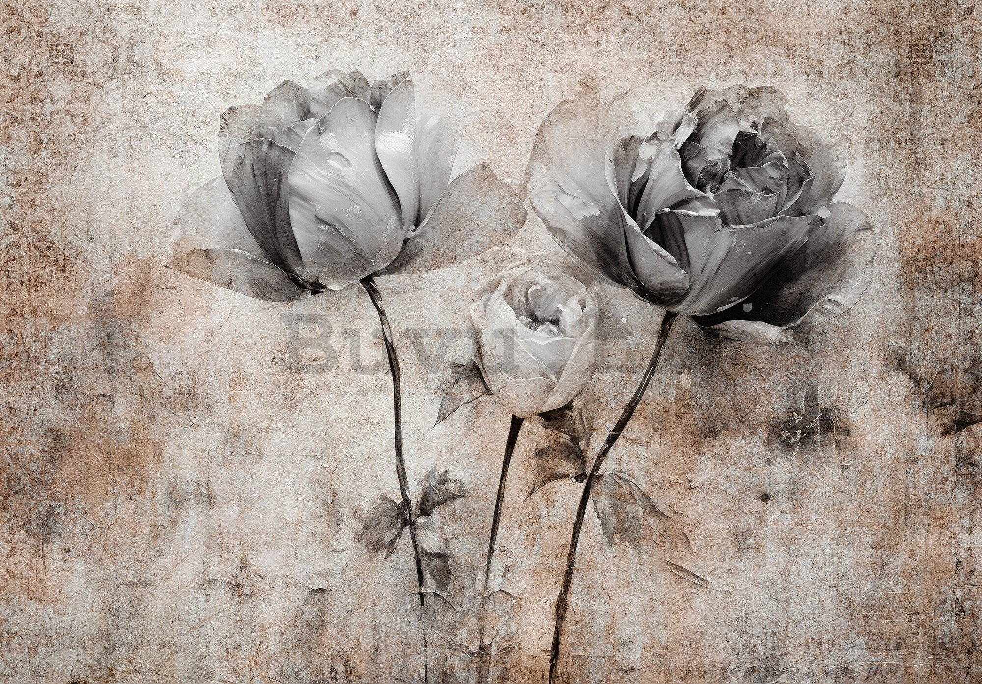 Vlies foto tapeta: Flowers Roses Structure (1) - 416x254 cm