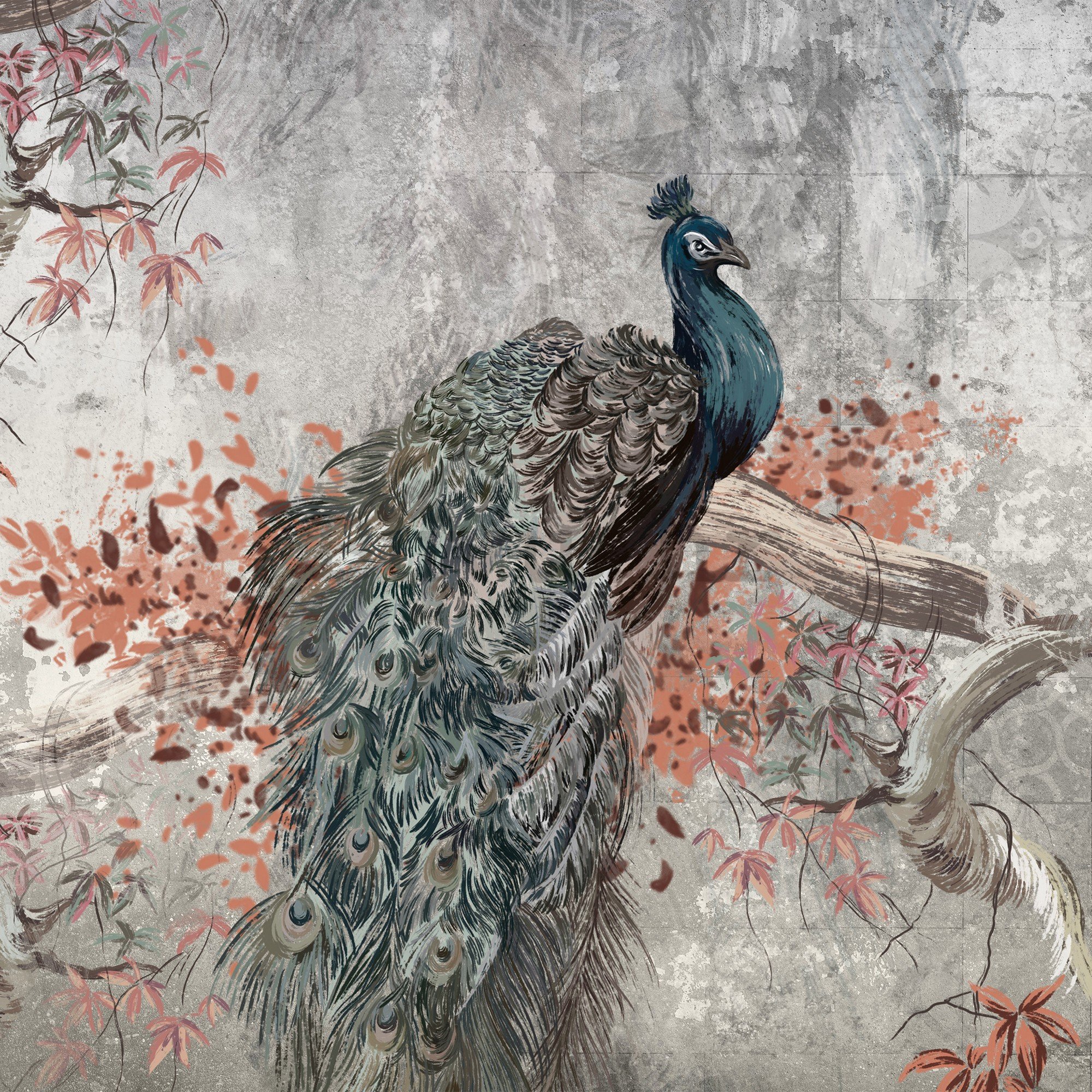 Vlies foto tapeta: Peacock - 416x254 cm